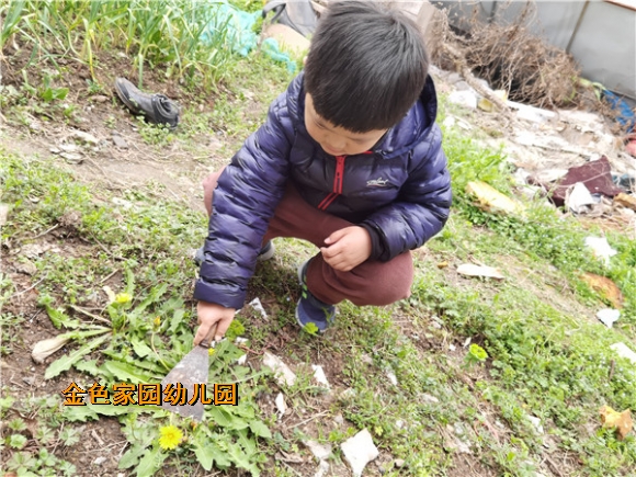 附件：QQ图片20210315145450.jpg
