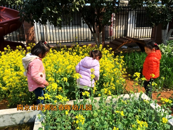 附件：conew_img_8490.jpg