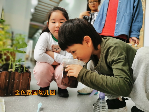 附件：abd940e57681ec2806f5d42976fe497.jpg