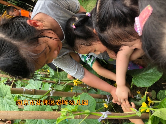 附件：QQ鍥剧墖20180518161255.jpg