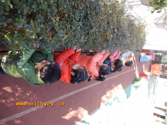 附件：conew_dscn0798.jpg