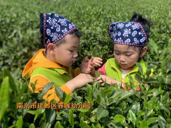 附件:QQ图片20230421112722.jpg 附件:QQ图片20230421112722.jpg
