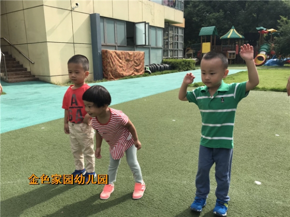 附件：IMG_1094_副本.jpg