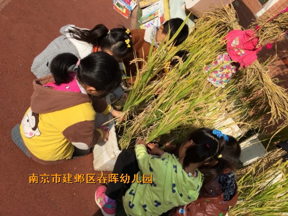 附件：conew_img_6176.jpg
