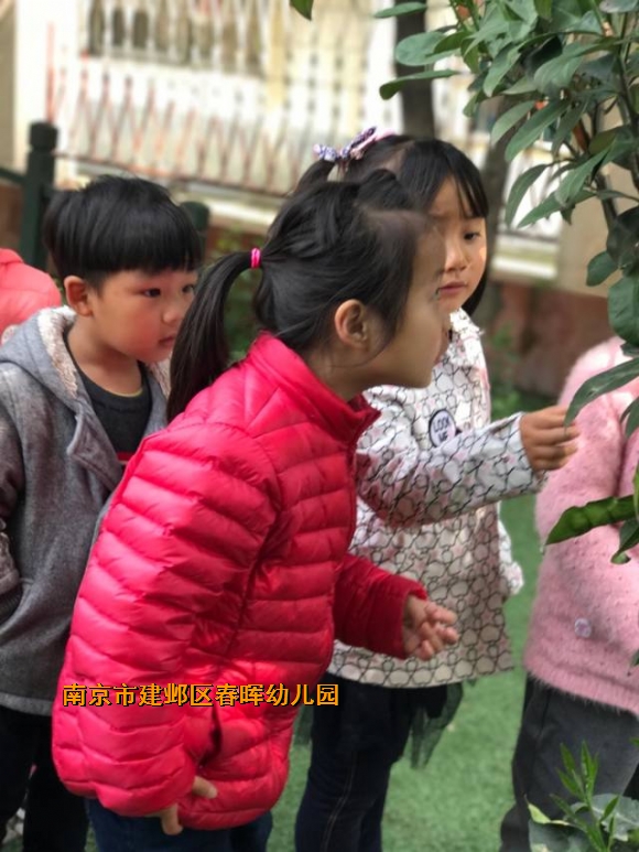 附件：IMG_2945.JPG