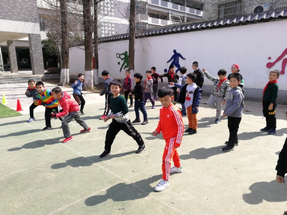 附件：IMG_20190315_133039.jpg