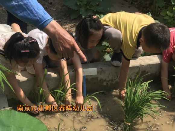 附件：conew_img_6269.jpg