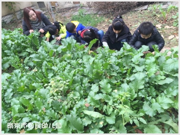 建邺教育信息网