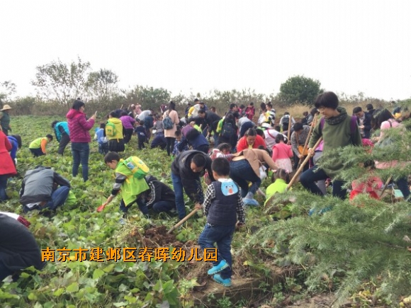 附件：conew_img_6321.jpg