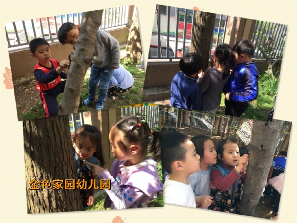 附件：未命名.jpg