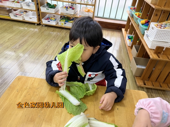 附件：6f0f595bad51bcc8afedf6175dfe543.jpg