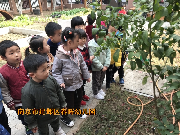 附件：新建文件夹IMG_2584.JPG