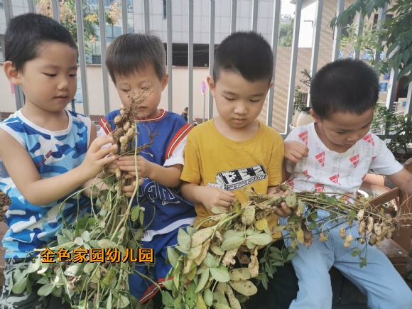 附件：IMG_20210924_093824.jpg