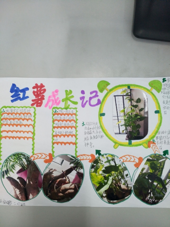 附件：QQ图片20190508111352.jpg