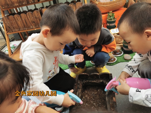 附件：d9e44042e88d85d301943fd50005b4f.jpg