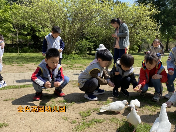 附件：17.1.jpg